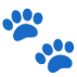 ACVN Logo