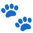 ACVN Logo